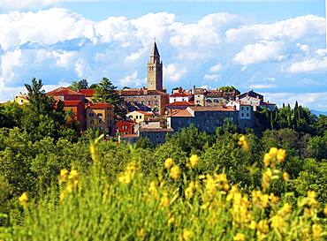 Historical Old Town of Labin, Istria, Croatia, Europe