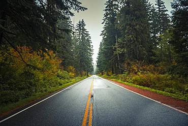 Highway through autumn forest, Mt. Baker Highway, Mount Baker-Snoqualmie National Forest, Washington, USA, North America