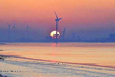 Wind turbines in front of setting sun, estuary of Ems into the North Sea, Ditzum, Rheiderland, East Frisia, Niedersachsen, Germany, Europe