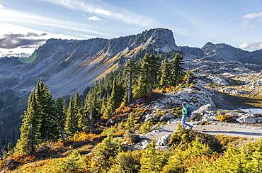 Female hiker on hiking trail at Artist Point, mountain landscape in autumn, Tabletop Mountain in the back, Mount Baker-Snoqualmie National Forest, Washington, USA, North America