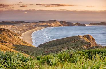 View over Cape Maria Van Diemen with sunset red, Far North District, Northland, North Island, New Zealand, Oceania