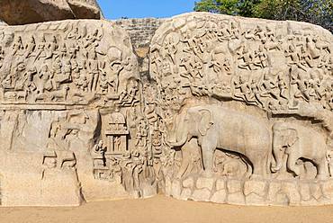 Arjuna's Penance, or Descent of the Ganges, rock relief with elephant figures and hinduism figures, Mahabalipuram, Mamallapuram, India, Asia