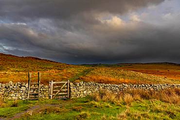 Stone wall in autumn landscape with dark sky, Greenhead, Northumberland, Great Britain