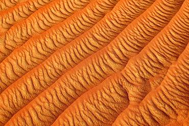 Sand ripples, texture on a sanddune, Tassili n'Ajjer National Park, Sahara, Algeria, Africa