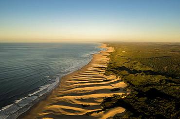 Aerial view, long coast along sand dunes, Wild Coast, Indian Ocean, Amathole, Eastern Cape, South Africa, Africa