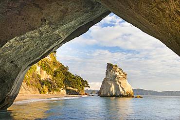 Cathedral Cove in the evening light, Mercury Bay, Coromandel Peninsula, North Island, New Zealand, Oceania