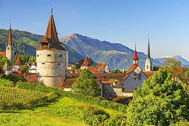 Town view with Capuchin tower and church, old town, Rigi at the back, Zug, Canton Zug, Switzerland, Europe