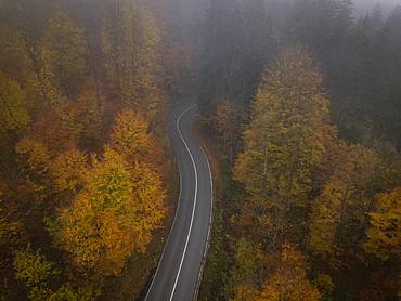 Drone shot, country road from above through autumn forest with fog, yellow foliage, Mittenwald, Upper Bavaria, Bavaria, Germany, Europe