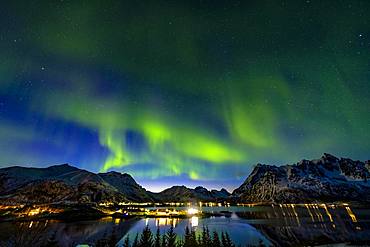 Aurora Borealis, northern lights above Laupstad, Austvagoy, Lofoten, Norway, Europe