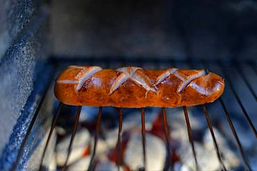 Stuttgart red sausage on grill, Stuttgart, Baden-Wuerttemberg, Germany, Europe