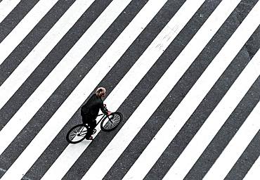 Shibuya Crossing, Single Bicycle Crosses Crosswalk, Shibuya, Udagawacho, Tokyo, Japan, Asia