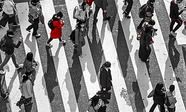 Single person in red, Shibuya crossing, crowds at intersection, many people cross zebra crossing, black and white, Shibuya, Udagawacho, Tokyo, Japan, Asia