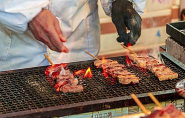 Grilled meat skewers at a food stand, Hanami Fest, Ueno Park, Tokyo, Japan, Asia