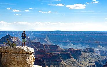 Man standing on rock, view of canyon landscape from Bright Angel Viewpoint, North Rim, Grand Canyon National Park, Arizona, USA, North America