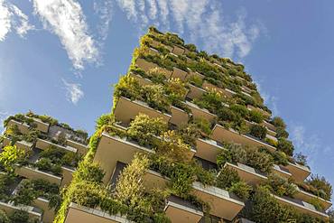 Bosco Verticale or Vertical Forest residential towers, architect Boeri, Porta Nuova district, Milan, Lombardy, Italy, Europe