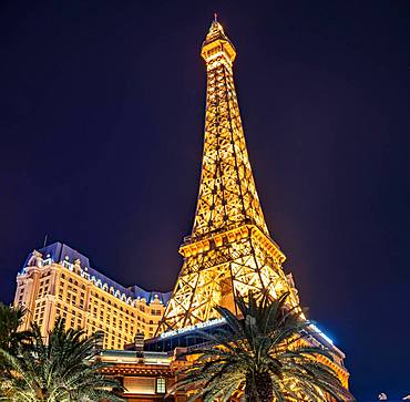 Illuminated Eiffel Tower, Paris Las Vegas Hotel and Casino by Night, Las Vegas Strip, Las Vegas, Nevada, USA, North America