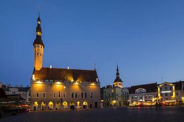 Gothic Town Hall on the Town Square in the old town at the blue hour, Tallinn, Estonia, Europe