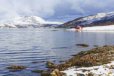 Stonnesbotn Fjord in winter, snow-capped mountains at the back, Senja Island, Troms, Norway, Europe