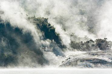 Fog and steam from hot springs, Orakei Korako Geothermal Park, Geothermal area, Hidden Valley, Taupo Volcanic Zone, North Island, New Zealand, Oceania