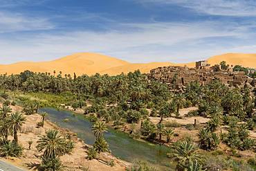 Overlook over the oasis of Taghit with sand dunes, western Algeria, Algeria, Africa