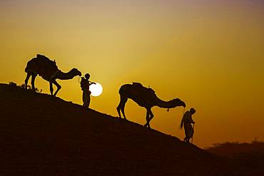 Two Rabari men going down a dune at sunset, silhouettes, Great Rann of Kutch, Gujarat, India, Asia