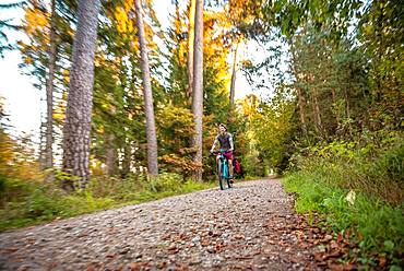 Young man cycling in the autumn forest, Perlacher Forst, Munich, Upper Bavaria, Bavaria, Germany, Europe