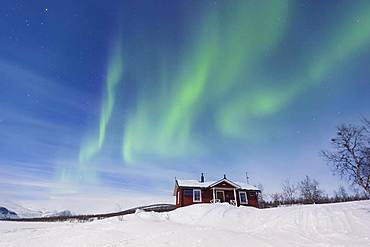 Northern Lights (Aurora borealis) above a Swedish red house in winter, Kungsleden, Province of Lapland, Sweden, Europe