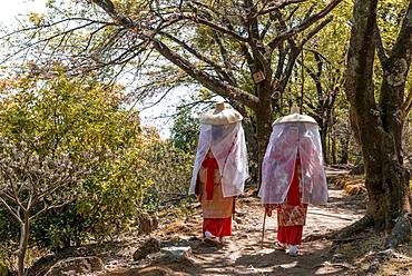 Two women in traditional Japanese clothes, kimono with hat and veil, Nachisan, Wakayama, Japan, Asia