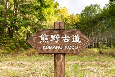 Signpost Pilgrimage Kumano Kodo, Wakayama, Japan, Asia