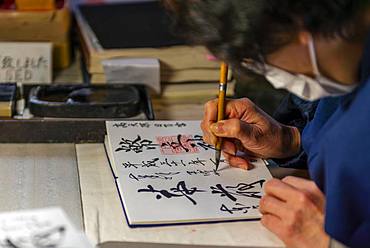 Woman writes Japanese characters, calligraphy, lucky charms to buy in Todaiji Temple, Japan, Nara, Japan, Asia