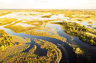 Aerial view, Swamp area, Okavango Delta, Botswana, Africa