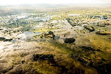 Aerial view, Swamp area, Okavango Delta, Botswana, Africa