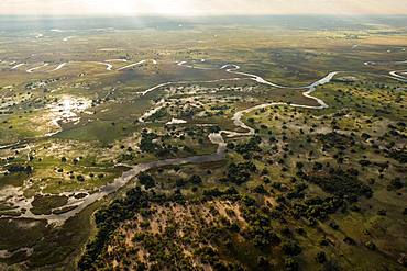 Aerial view, Swamp area, Okavango Delta, Botswana, Africa