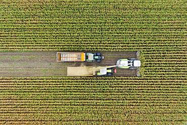 Aerial view, maize chopper and tractor with trailer at the maize harvest, Germany, Europe