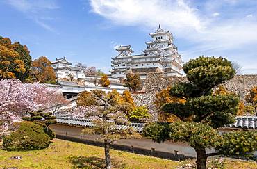 Castle Himeji, Himeji-jo, Shirasagijo or white heron castle, cherry blossom, Himeji, prefecture Hyogo, Japan, Asia