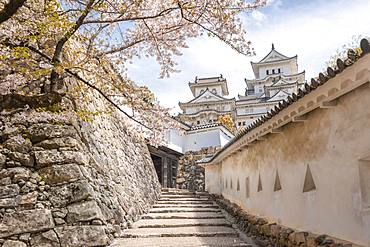 Weir walk at a wall of the castle Himeji, Himeji-jo, Shirasagijo or white heron castle, cherry blossom, Himeji, prefecture Hyogo, Japan, Asia