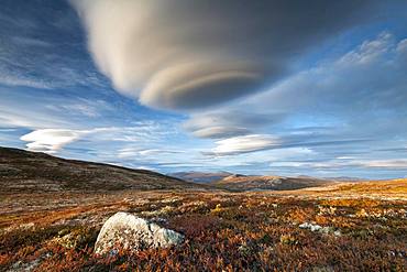 Autumnal Tundral landscape in Dovrefjell, Lenticularis cloud, Dovrefjell-Sunndalsfjella National Park, Hjerkinn, Norway, Europe