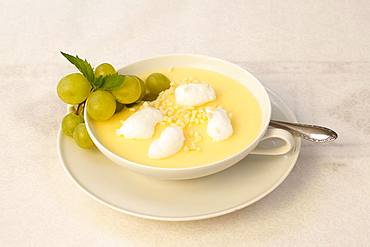 Swabian dessert, Stuttgart wine cream with protein foam, grapes, Germany, Europe