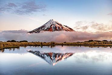 Water reflection in Pouakai Tarn Mountain Lake at sunset, Stratovolcano Mount Taranaki or Mount Egmont, Egmont National Park, Taranaki, New Zealand, Oceania