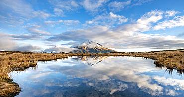 Water reflection in Pouakai Tarn, stratovolcano Mount Taranaki or Mount Egmont, Egmont National Park, Taranaki, New Zealand, Oceania