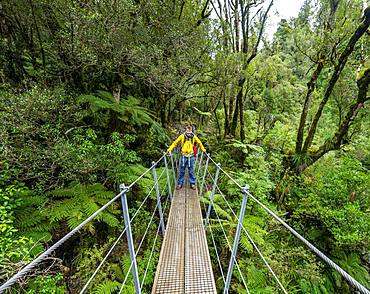 Hiker on suspension bridge in forest, Pouakai Circuit, Egmont National Park, Taranaki, North Island, New Zealand, Oceania