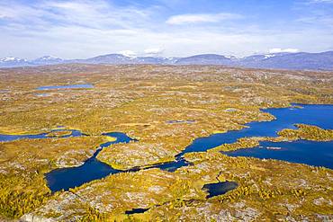 Autumnal fjeld, Lake Tornetraesk, Bjoerkliden, Norrbotten, Lapland, Sweden, Europe