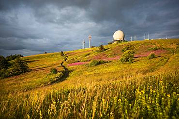 Wasserkuppe, Radom, Hessian Rhoen Nature Park, Hesse, Germany, Europe