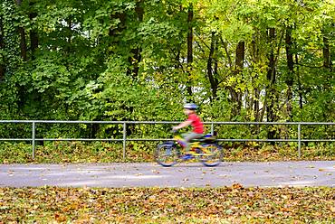 Cyclist on his way with autumnal trees, child, puller, Isarhochufer, Munich, Bavaria, Germany, Europe