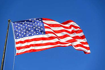 American flag, national flag, US-American flag blowing in the wind against a blue sky, USA, North America