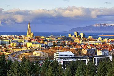 Cityscape, Reykjavik and Hallgrimskirkja in the evening, Reykjavik, Iceland, Europe