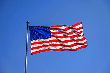 American flag, national flag, US-American flag blowing in the wind against a blue sky, USA, North America