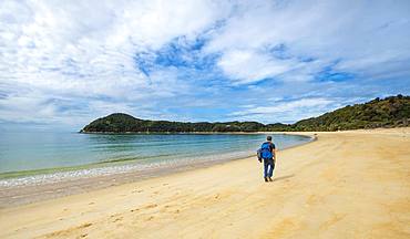 Young man walks on the beach, Anchorage Bay, Abel Tasman National Park, Tasman, South Island, New Zealand, Oceania