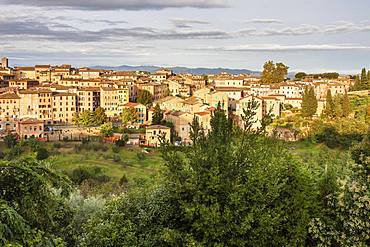 City view, Siena, Tuscany, Italy, Europe