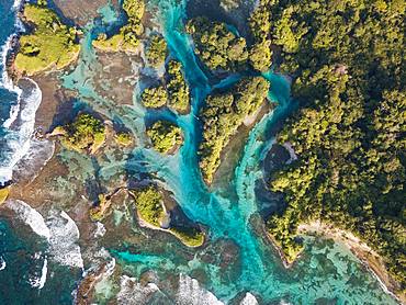 Aerial view, tropical forested islands with mangroves in the sea, Escudo de Veraguas, Panama, Central America